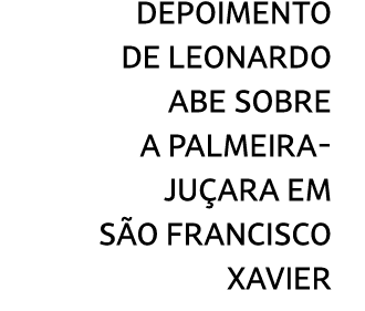 Depoimento de Leonardo Abe sobre a palmeira ju ara em S o Francisco Xavier
