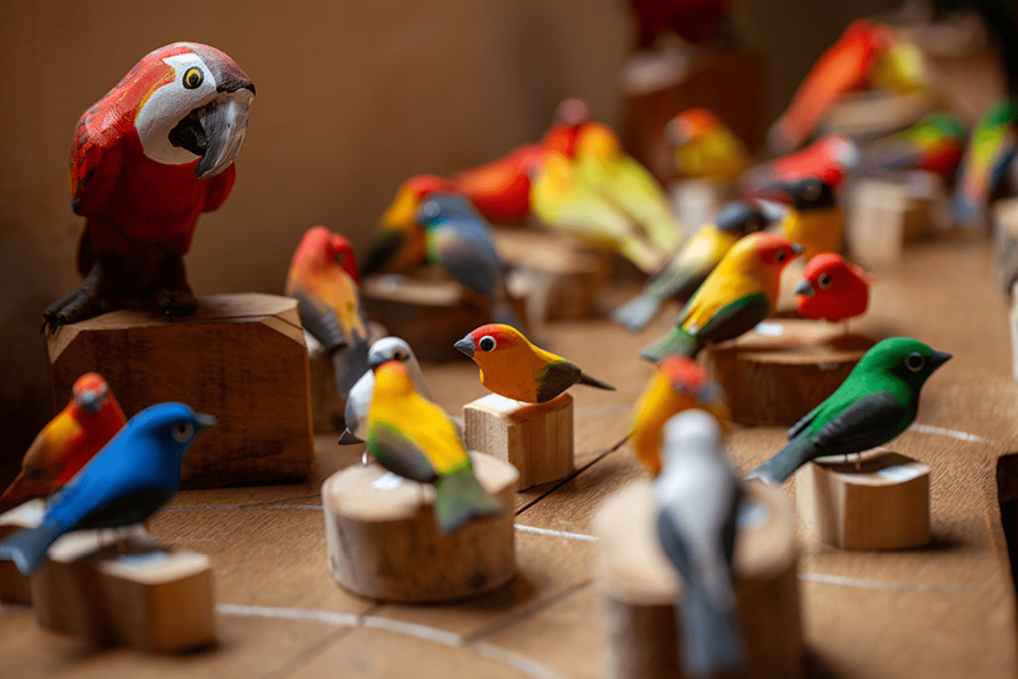 Brinquedos em madeira da loja Entre No Para so, em Silveiras/SP.