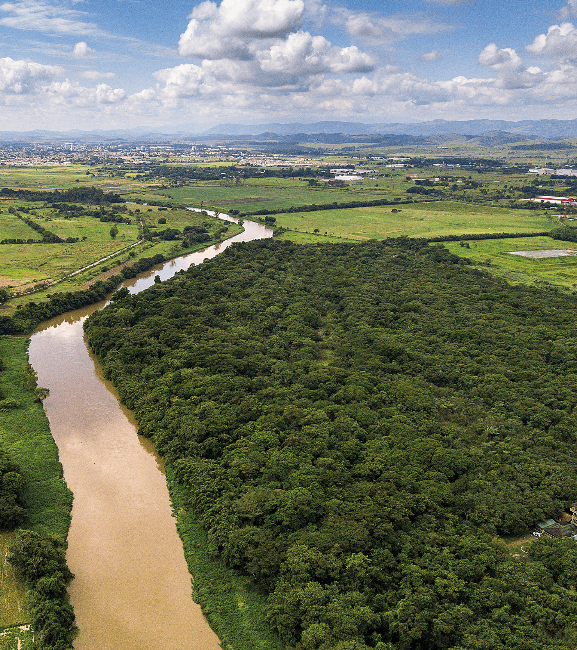 Rio Para ba do Sul. Na margem  direita, a  rea reflorestada pela Basf de Guaratinguet .