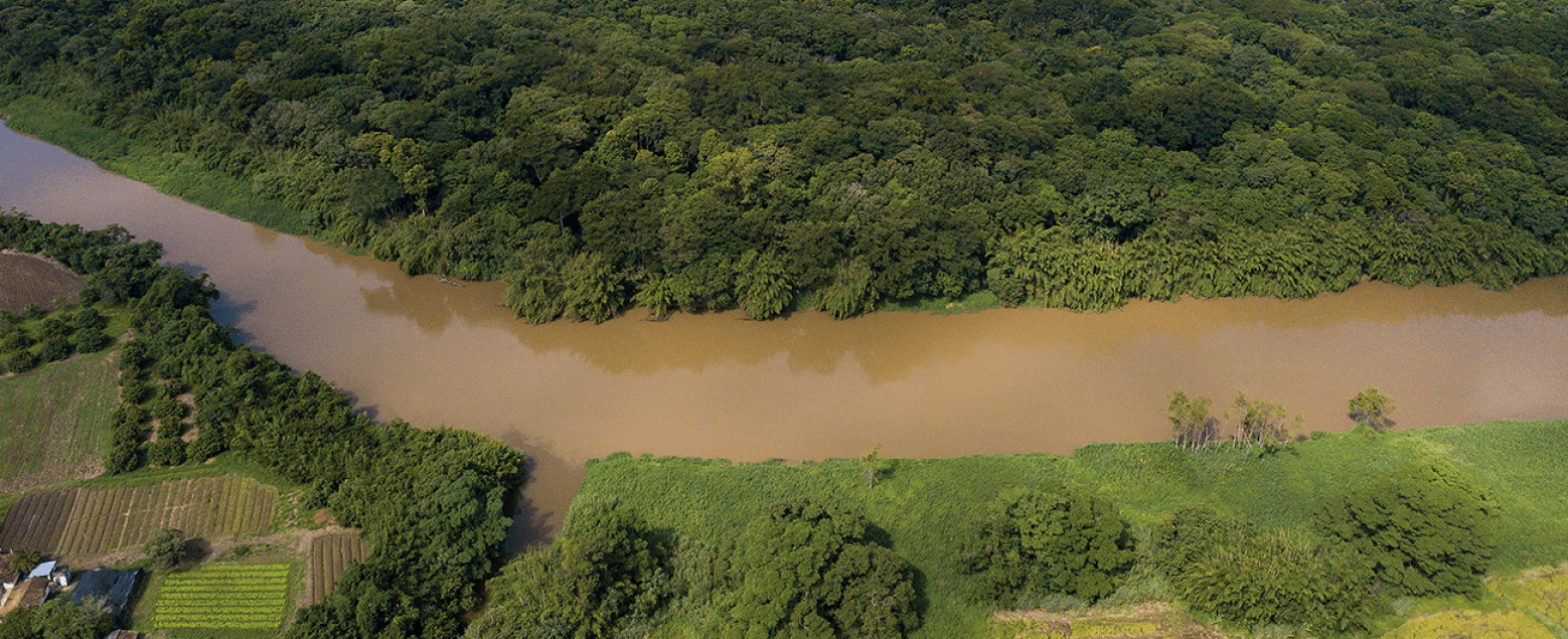 Na parte de cima do rio, a floresta de mata ciliar restaurada pela Basf de Guaratinguet . Ao fundo e mais  direita, a unidade da empresa em uma  rea industrial.