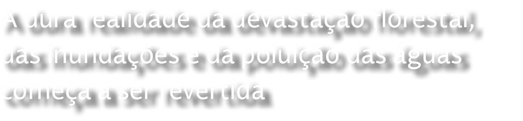 A dura realidade da devasta o florestal, das inunda  es e da polui  o das  guas come a a ser revertida