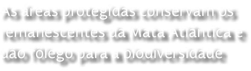 As reas protegidas conservam os remanescentes da Mata Atl ntica e d o f lego para a biodiversidade