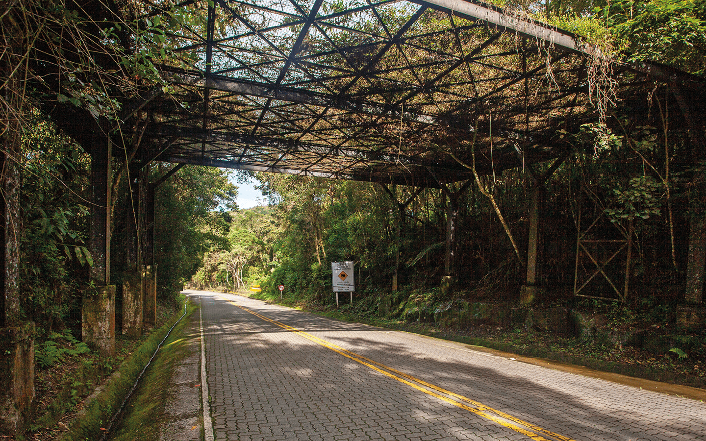 Passagem suspensa para travessia de animais silvestres na estrada-parque que liga Cunha  Paraty.