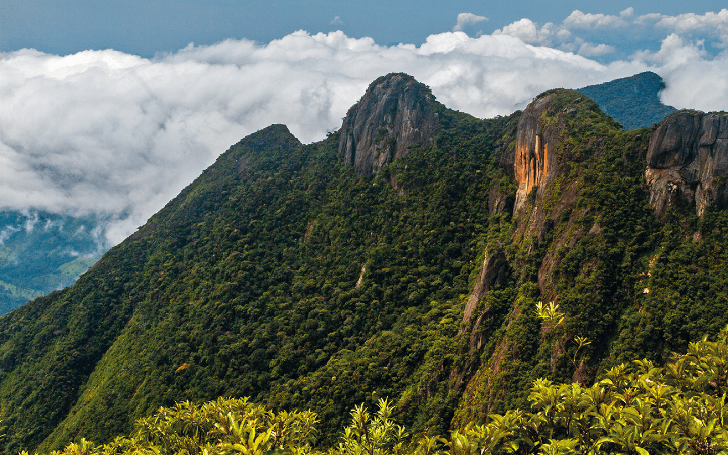Pedra da Macela - cidade de Cunha/SP