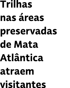 Trilhas nas reas preservadas de Mata Atl ntica atraem visitantes