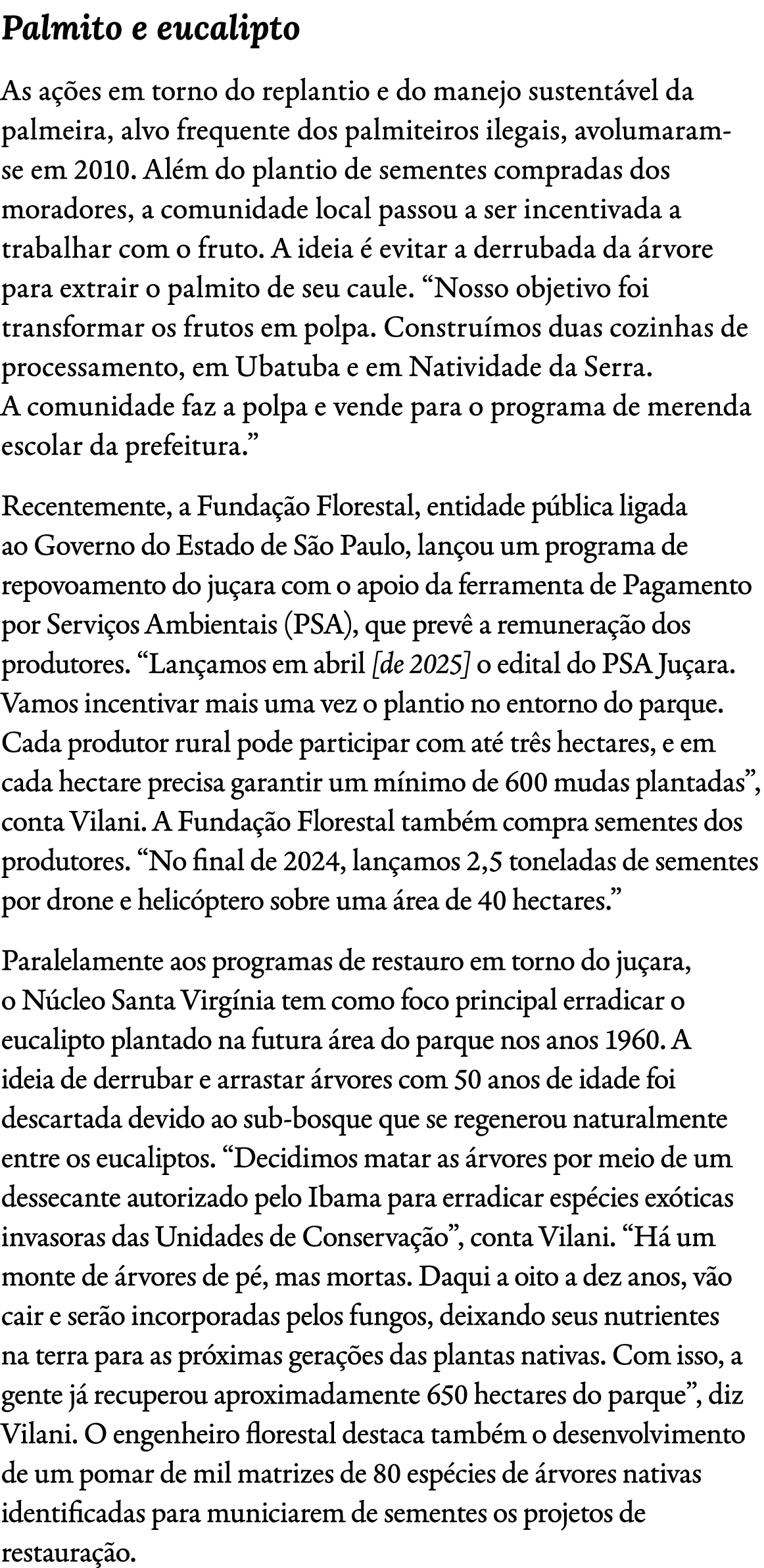 Palmito e eucalipto As a es em torno do replantio e do manejo sustent vel da palmeira, alvo frequente dos palmiteiro...