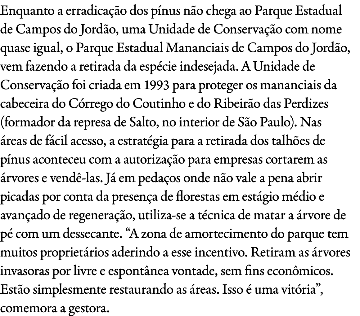 Enquanto a erradica o dos p nus n o chega ao Parque Estadual de Campos do Jord o, uma Unidade de Conserva  o com nom...