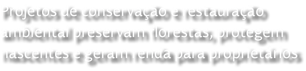Projetos de conserva o e restaura  o ambiental preservam florestas, protegem nascentes e geram renda para propriet rios