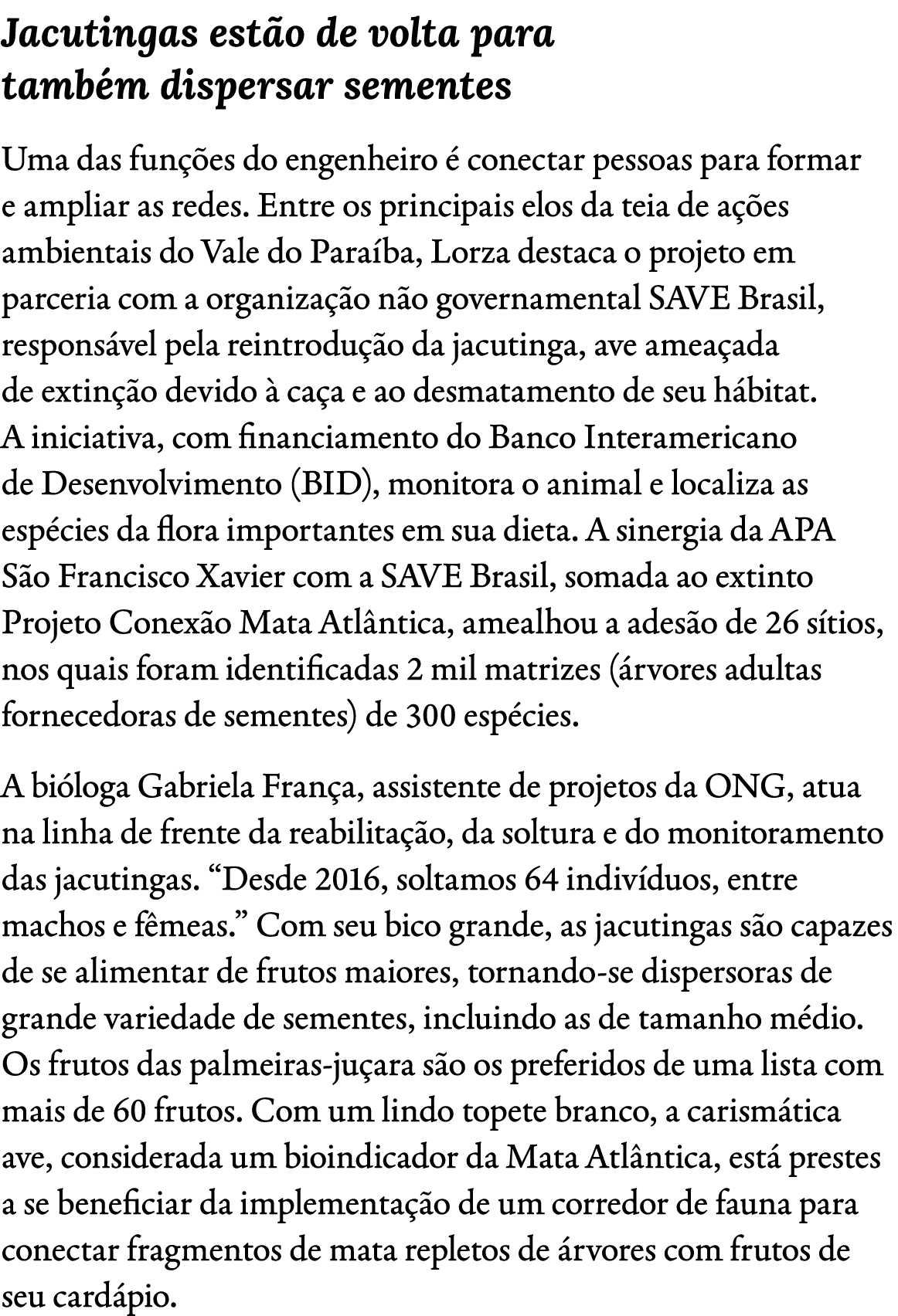 Jacutingas est o de volta para tamb m dispersar sementes Uma das fun es do engenheiro   conectar pessoas para formar...