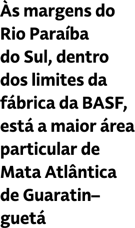  s margens do Rio Para ba do Sul, dentro dos limites da f brica da BASF, est a maior  rea particular de Mata Atl nti...