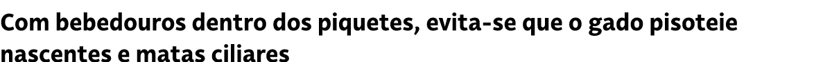 Com bebedouros dentro dos piquetes, evita se que o gado pisoteie nascentes e matas ciliares