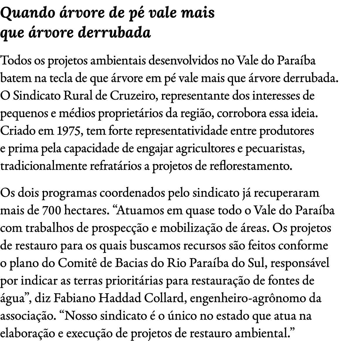 Quando rvore de p  vale mais que  rvore derrubada Todos os projetos ambientais desenvolvidos no Vale do Para ba bate...
