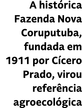 A hist rica Fazenda Nova Coruputuba, fundada em 1911 por C cero Prado, virou refer ncia agroecol gica