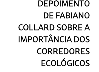 Depoimento de Fabiano Collard sobre a import ncia dos corredores ecol gicos