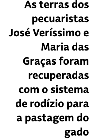 As terras dos pecuaristas Jos Ver ssimo e Maria das Gra as foram recuperadas com o sistema de rod zio para a pastage...