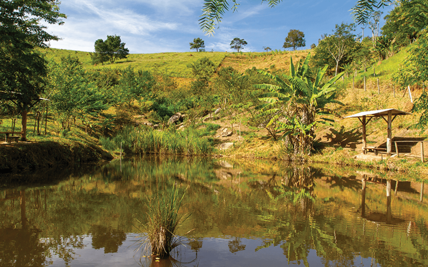 Lago que recebe a gua das nascentes. No alto, a  rea dos piquetes.